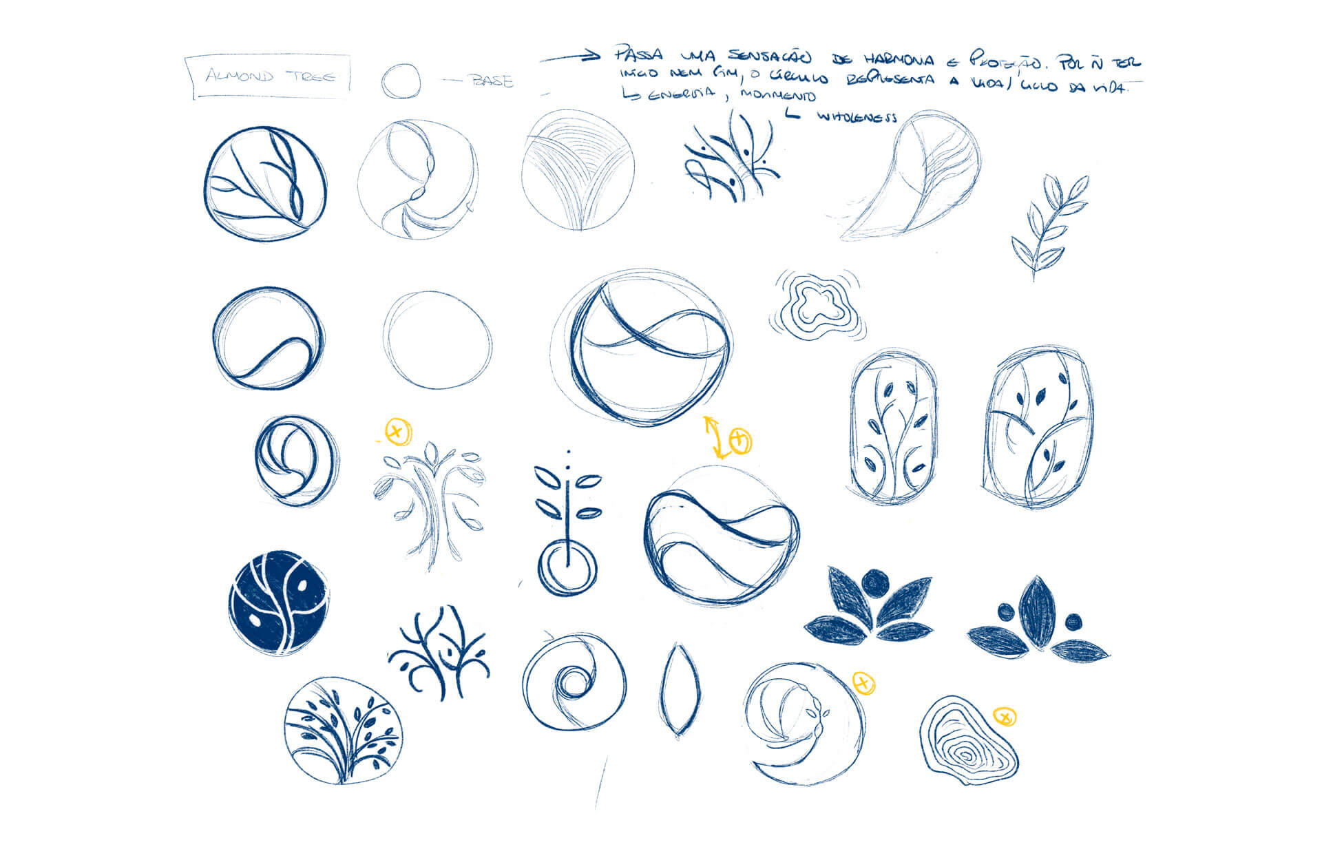 Esboços e estudos manuais do símbolo Almond Tree - processo de desenho da identidade visual
