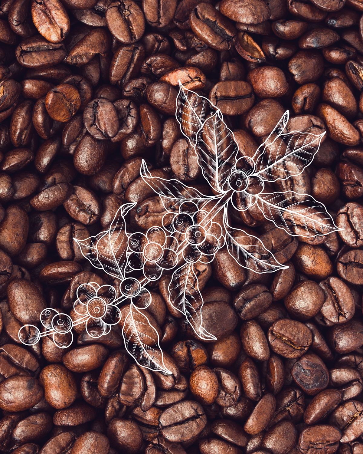 Ilustração personalizada criada para o Café Casteletes