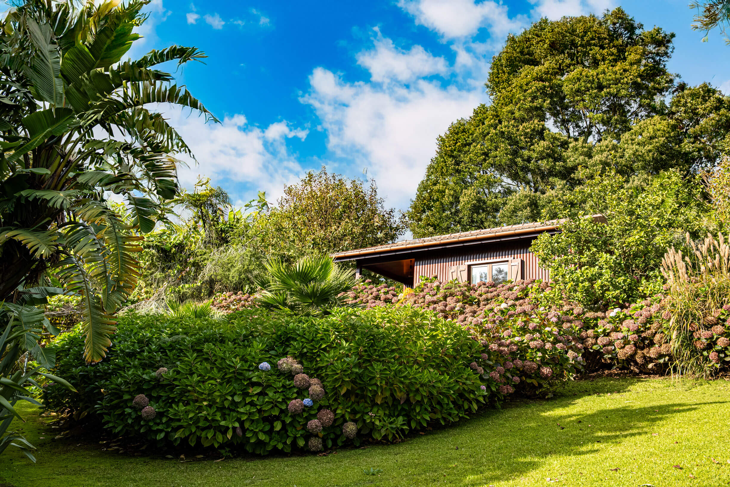 Espaço interior de cottage com isolamento natural em madeira