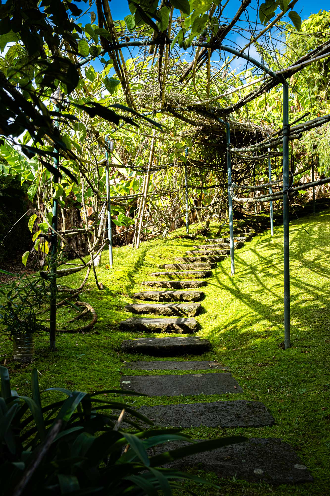 Pormenor da arquitetura sustentável dos cottages